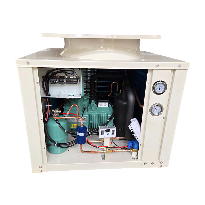Uri ng Box Condensing Unit